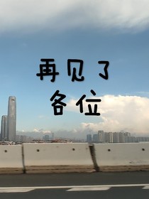 再见了，各位