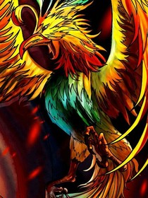斗1之凤凰再现