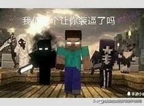 我的世界(外)