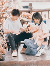 蘑菇屋牵红线日常
