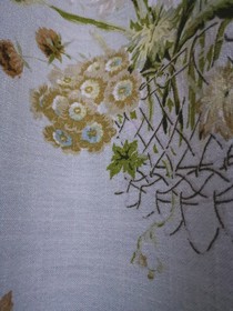 小花在傳說之下去火影