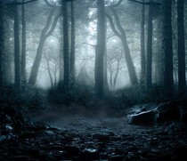 血夜長眠