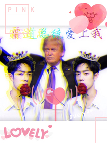 san值狂掉之霸道总统爱上我