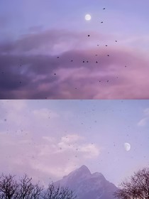 珂沂愛蜜糖