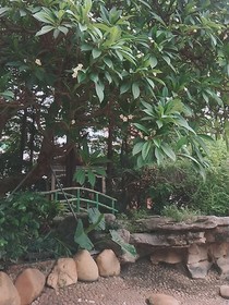 三个好朋友