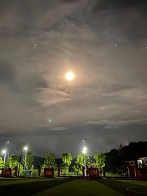 那年，我不負遇見