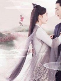 白淺的身份？