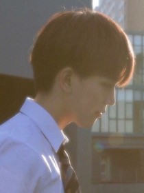 顧少的嬌妻……