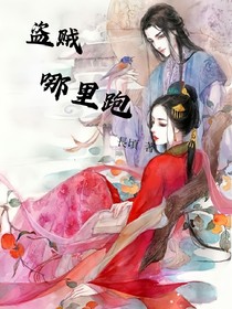 盗贼哪里跑-d292