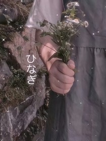 顧少愛上我