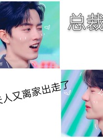总裁，夫人又离家出走了
