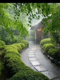 我爱微雨
