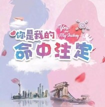 雪鳳夫婦