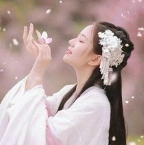 韩鹿雪陈情令
