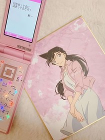 與你與花