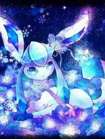 曦叶之旅