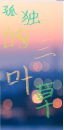 孤独的三叶草