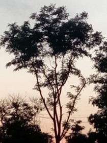 徒徒小心，師父有病