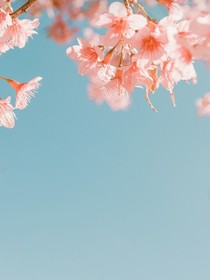 星颜之约