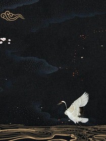 無風(fēng)錄