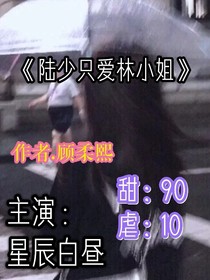陆少只爱林小姐