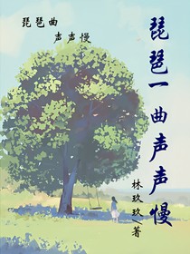 琵琶一曲聲聲慢