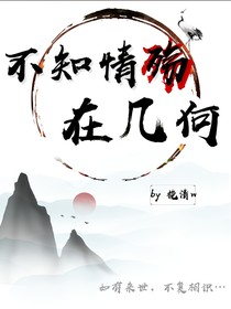 不知情殇在几何
