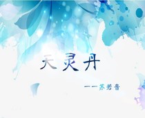 天灵丹