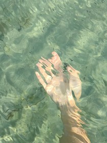 章魚和墨魚