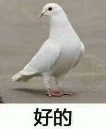 林暮竟然脱单了？