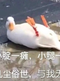 那些年的沙雕廣告