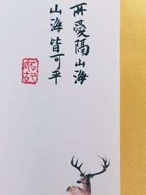 所爱隔山河，山河皆可平