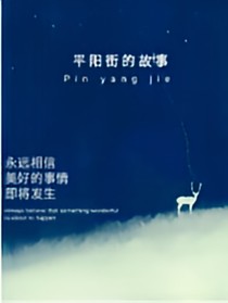 平陽街的故事