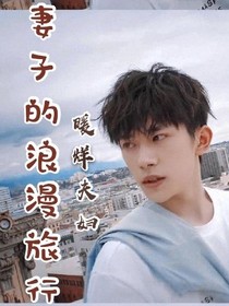 妻子的浪漫旅行之暖阳夫妇-d545