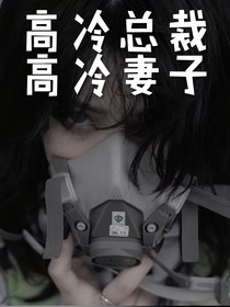 高冷总裁和高冷的妻子