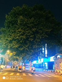 也许你就应该活在梦中