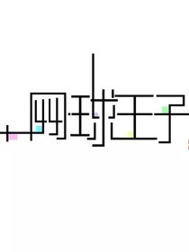 新网球王子：凤凰的No.0-d741