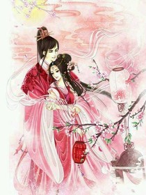 宫妃宫传