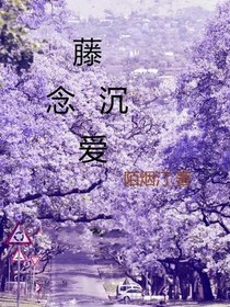 藤念沉爱