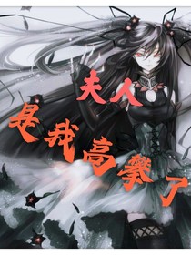 夫人，是我高攀了