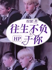 HP往生不负于你，