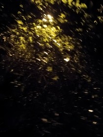 他和他的夏天