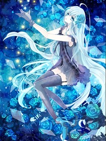 海贼王之蓝色玫瑰