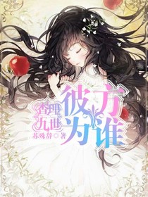 查理九世之彼方為誰