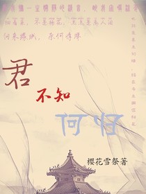 君不知何归