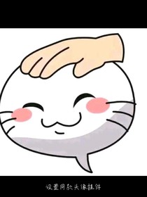 火影与海贼
