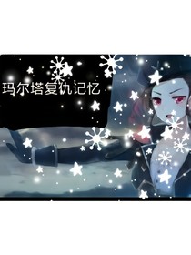 空軍復(fù)仇記。