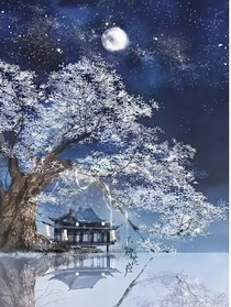 七星宮