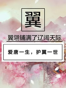 查理九世之愛(ài)唐一生