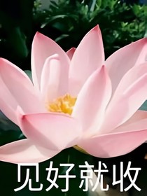 鶴云安文案組